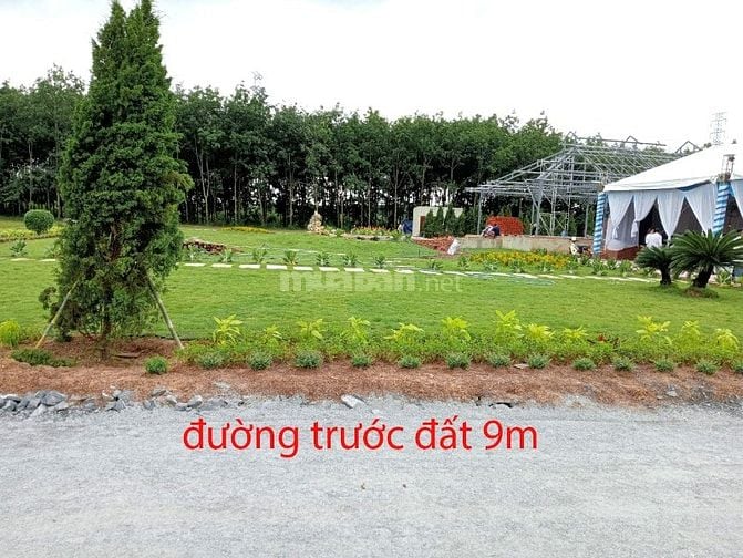 CHÍNH CHỦ BÁN ĐẤT THỔ CƯ MẶT TIỀN 5x59m, 297 m2, SHR