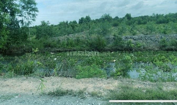 Cần bán thửa đất 1360m2 Full thổ cư ấp Mỹ Lợi, xã Mỹ Thạnh Tây, Đức Hu