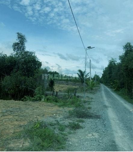Bán Thửa đất 1644m2 full thổ cư Ấp 1 xã Mỹ Thạnh Đông, Đức Huệ, Long a