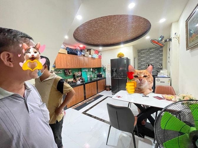 Bán Nhà DT:4x15m đẹp Cao Cấp hẻm Dương Quảng Hàm, P6, Q.Gò Vấp.