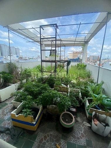 Sở Hữu căn nhà ngay trung tâm ở Hiệp Nhất p4 Tân Bình. 2,580tỷ|46,2m2
