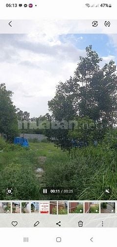 🧱 Đất 1000m² Vĩnh Lộc A –  Đã xây tường rào cao 2 mét