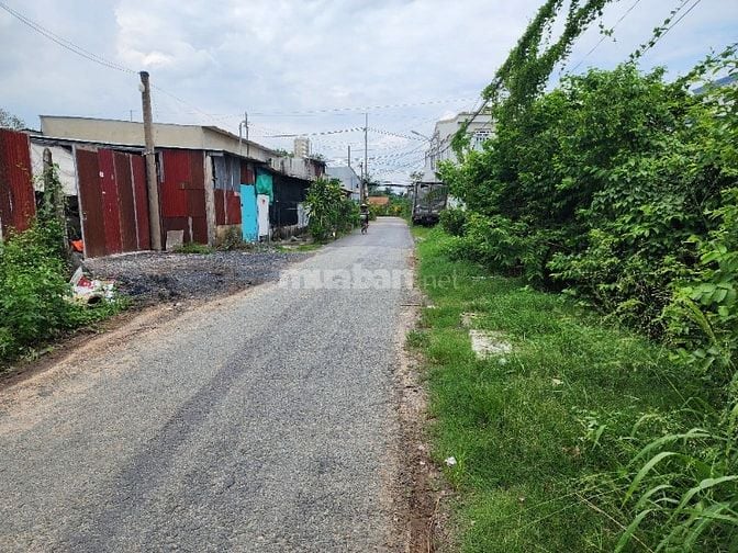 Kẹt quá bán gấp 297m2 đất thổ sổ riêng mặt đường Mai Thị Buội, 590tr