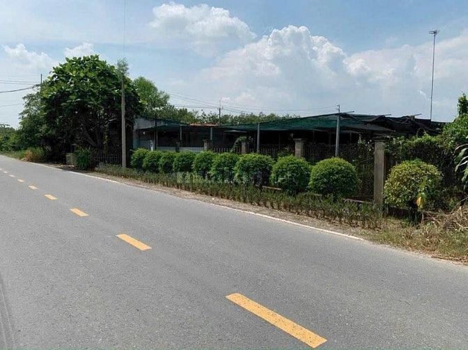 Ngộp Tiền Cần Bán Nhanh lô đất gần 200m2 tại Tân Thông Hội, Củ chi