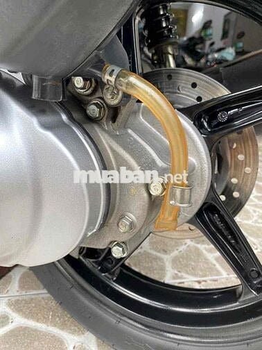 sh ý 150 đầu 109 trắng