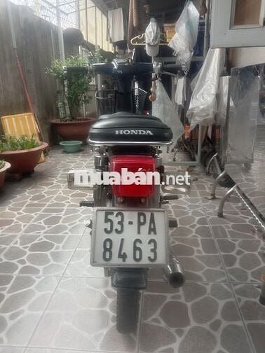 Xe cub 82 nhật