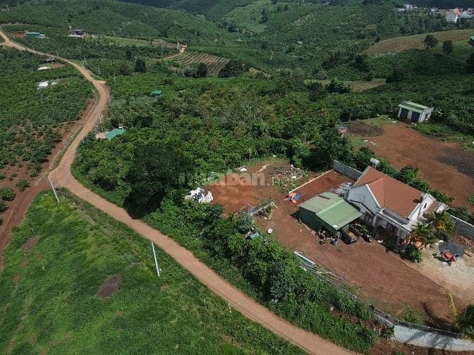 Chủ mua 1ty2 giờ bán 1 tỷ đất thổ cư Tân Châu cũ nay thuộc xã Di Linh.