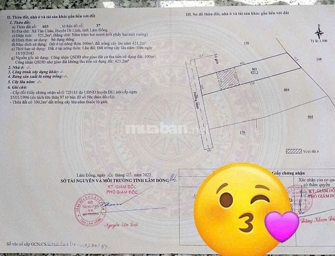 Chủ mua 1ty2 giờ bán 1 tỷ đất thổ cư Tân Châu cũ nay thuộc xã Di Linh.