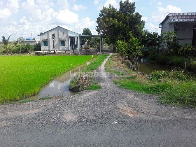 Cần bán lô đất 923m2 full thổ cư Ấp Chánh, xã Bình Hòa Bắc, Đức Huệ Lo