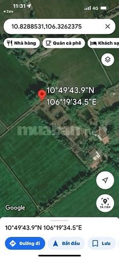 Cần bán lô đất 923m2 full thổ cư Ấp Chánh, xã Bình Hòa Bắc, Đức Huệ Lo