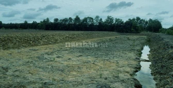 Chủ Bán lô đất Full thổ cư 536m2 Ấp Mỹ Lợi, xã Mỹ Thạnh Tây, Đức Huệ L