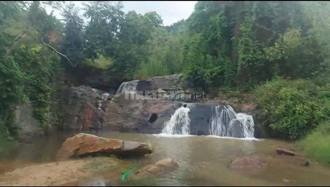 Cần bán 10 mẫu  đất tai xã Lộc Nam, Huyện Bảo Lâm , Tỉnh Lâm Đồng
