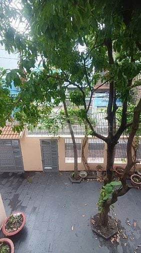 Biệt thự sân vườn hơn 200m², Lê Văn Thọ, Quận Gò Vấp, Hẻm xe tải 8m