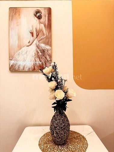 Căn hộ Mini Premium Home Đ.Vườn Lài, An Phú Đông, Q12