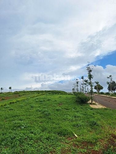 🏡 CHỈ 1 LÔ DUY NHẤT – VIEW HỒ TỰ NHIÊN SIÊU PHẨM F0!