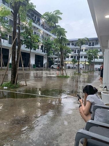 Tuyển nhân viên đăng bài cho Cty 