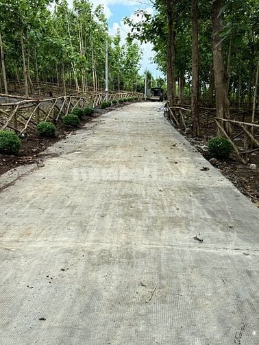 Cơ Hội Sở Hữu 1.050m² View Suối – View Đồi Tuyệt Đẹp Tại Định Quán