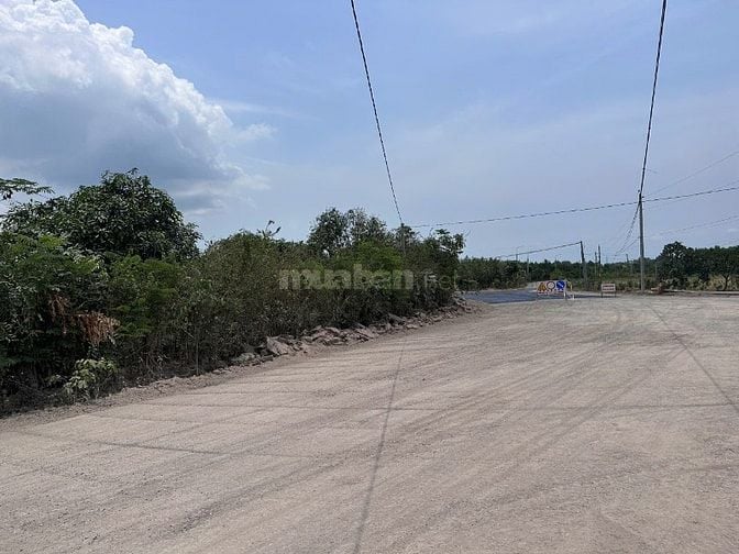 60Tr/1000m2 Định Quán, Thích hợp trồng sầu riêng, cây lâu năm....