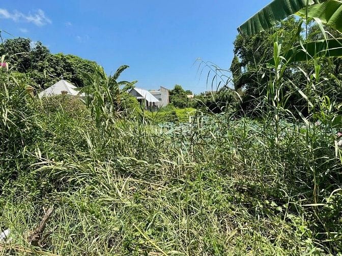 Công ty Đấu giá hợp danh Lam Sơn Sài Gòn THÔNG BÁO ĐẤU GIÁ TÀI SẢN