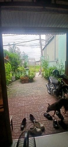 ✅⏩BÁN NHÀ SHR 132M CẤP4 1/TRẦN THỊ BỐC ,THỚI TỨ,THỚI TAM THÔN ,HÓC MÔN