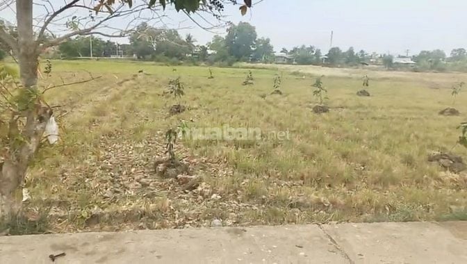 Bán 743m² đất đường T11, Tân Qúy Tây, Bình Chánh, HCM, 19x39m