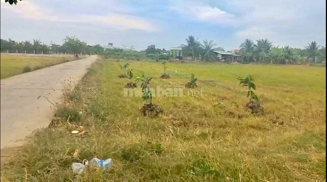 Bán 743m² đất đường T11, Tân Qúy Tây, Bình Chánh, HCM, 19x39m