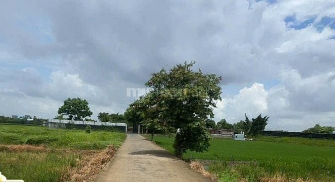 Bán 743m² đất đường T11, Tân Qúy Tây, Bình Chánh, HCM, 19x39m