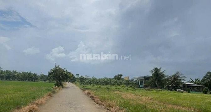 Bán 743m² đất đường T11, Tân Qúy Tây, Bình Chánh, HCM, 19x39m