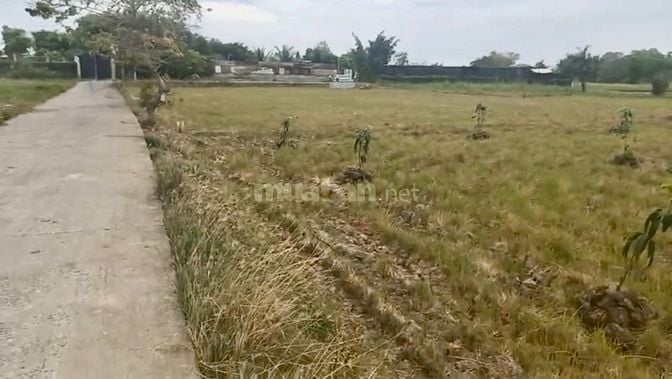 Bán 743m² đất đường T11, Tân Qúy Tây, Bình Chánh, HCM, 19x39m