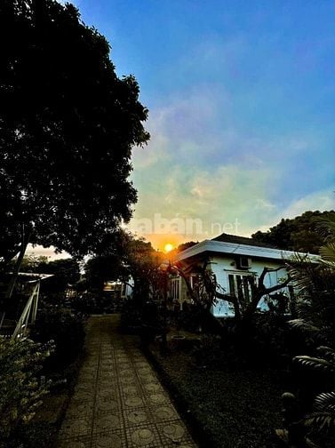 Cho thuê biệt thự nhà vườn 7000m2 tại Đan Phượng, Hà Nội (ráp sông Đáy