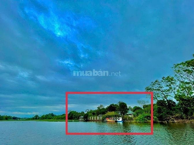 Cho thuê biệt thự nhà vườn 7000m2 tại Đan Phượng, Hà Nội (ráp sông Đáy