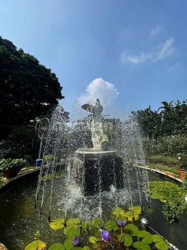 Cho thuê biệt thự nhà vườn 7000m2 tại Đan Phượng, Hà Nội (ráp sông Đáy