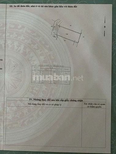 Vỡ nợ nên bán gấp nhà cấp 4 ở hóc môn giá chỉ có 990 triệu, 163m2,SHR.