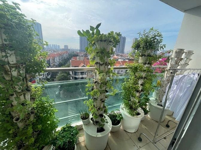 Căn hộ Him Lam Riverside, liền kề Lotte mart Q7, 110m2, chỉ 7.X tỷ