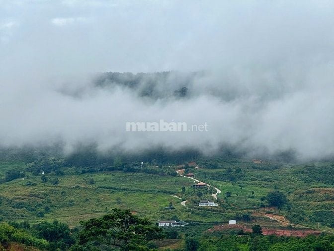 Đất Ven Đà Lạt Giá Chỉ 520 Triệu, SHR, View đồi Thông Mát Mẻ