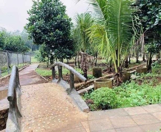 Cần bán nhanh nhà vườn, đất tại Chơn Thành diện tích hơn 2000m2 có thổ