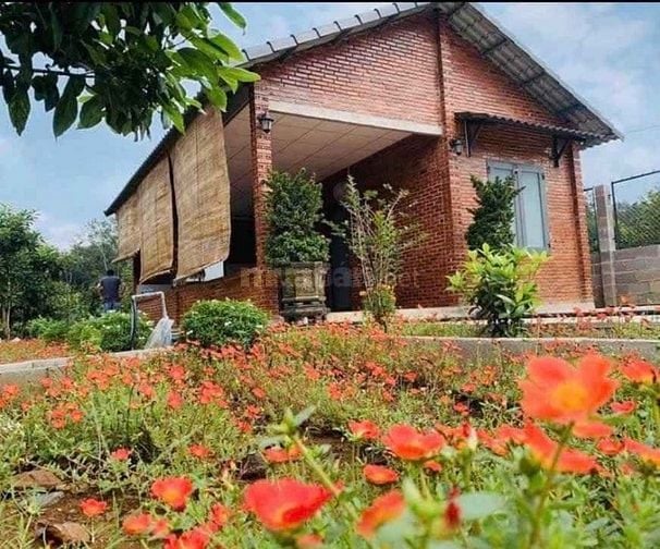 Cần bán nhanh nhà vườn, đất tại Chơn Thành diện tích hơn 2000m2 có thổ