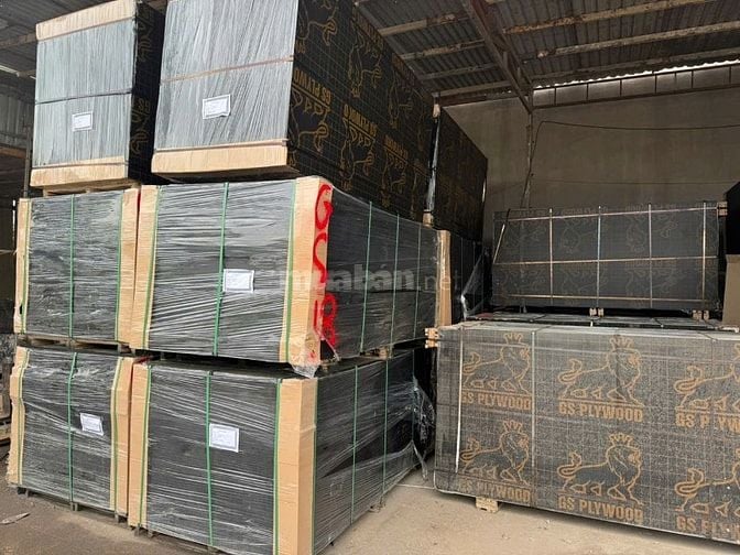 VÁN PHỦ PHIM 15MM – HOÀNG CHÂU PLYWOOD