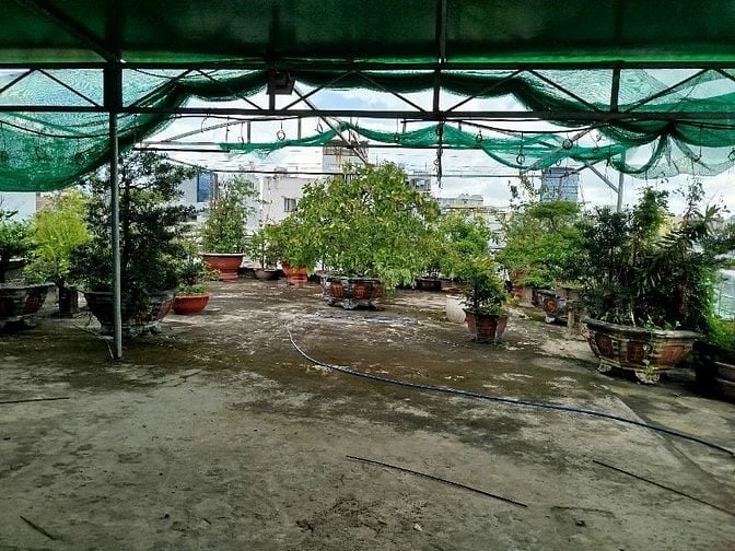CHO THUÊ NGUYÊN TÒA  Số 10 Cô Giang, P.Cầu Ông Lãnh,Quận 1, Tp Hồ Chí 