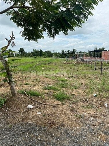 Bán đất nền Đức Hòa – Vị trí đắc địa – Giá 1.68 tỷ – Sổ riêng từng lô