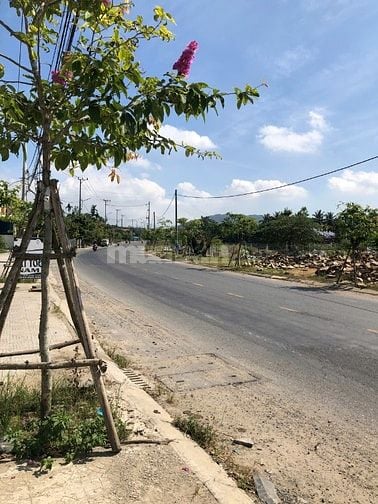 Chủ Cho Thuê Đất 500m2-đường 10m5-Ngang 12m. Phú Hạ, Hoà Sơn, Hoà Vang