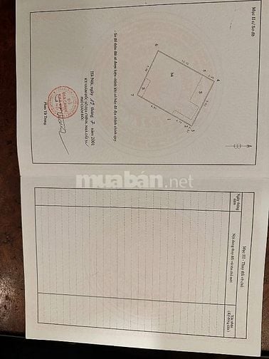 Bán Bt khu Phân Lô Vip 59 Láng Hạ 125m mt 9,5 m đường hè oto 49,99 tỷ