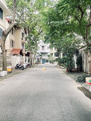 Bán Bt khu Phân Lô Vip 59 Láng Hạ 125m mt 9,5 m đường hè oto 49,99 tỷ