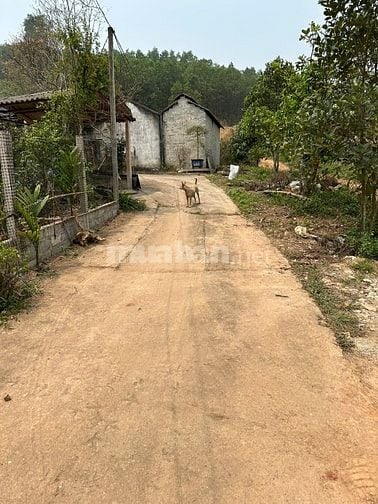 X Xã Phúc Trìu- Nguyên dt: 400 m2 full tc, trong quy hoạch sân gol hồ 