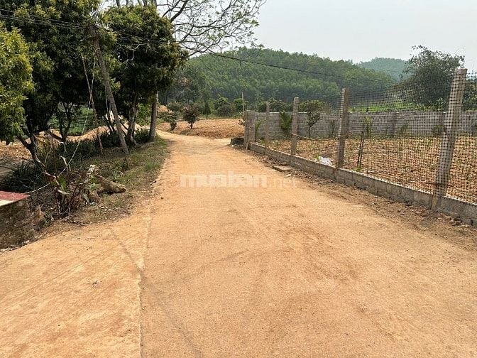 X Xã Phúc Trìu- Nguyên dt: 400 m2 full tc, trong quy hoạch sân gol hồ 