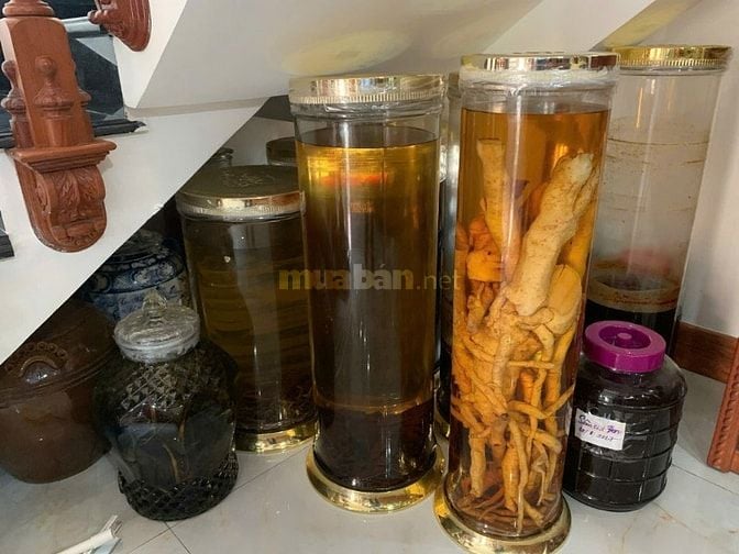  Siêu phẩm biệt thự mơ ước giữa lòng Bình Tân  NH 80% SHR full thổ