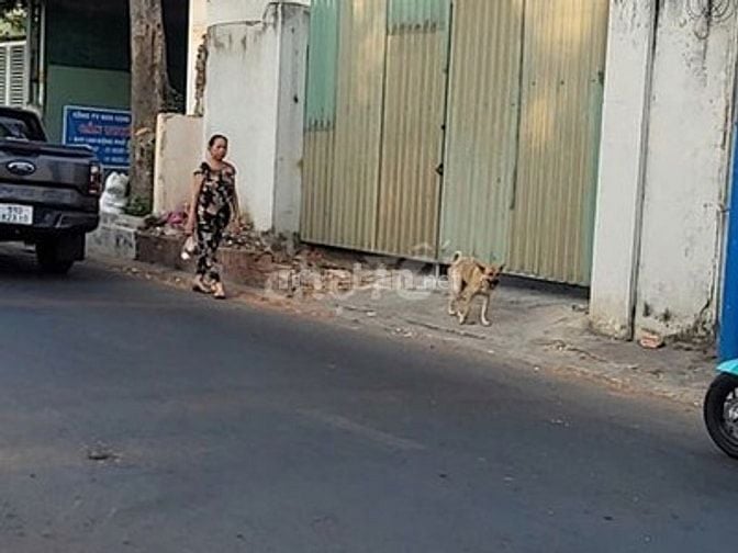  BÁN GẤP LÔ ĐẤT KP ĐÔNG THÀNH, TÂN ĐÔNG HIỆP, TP DĨ AN, BÌNH DƯƠNG