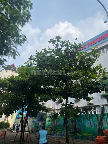 Phương Mai 60m2, 4.6m ngang,phân lô, sổ vuông, 2 thoáng trước sau, đẹp