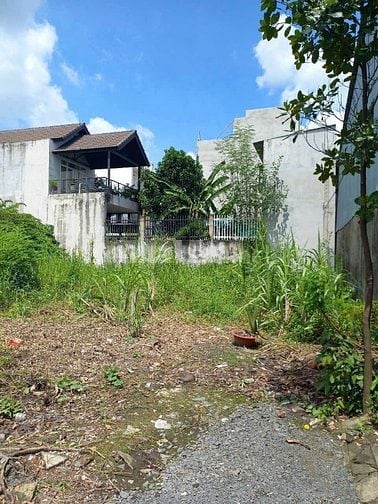 Bán lô đất nông nghiệp  100m2 sổ riêng Q12 giá 1,85 tỷ