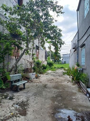 Bán lô đất nông nghiệp  100m2 sổ riêng Q12 giá 1,85 tỷ